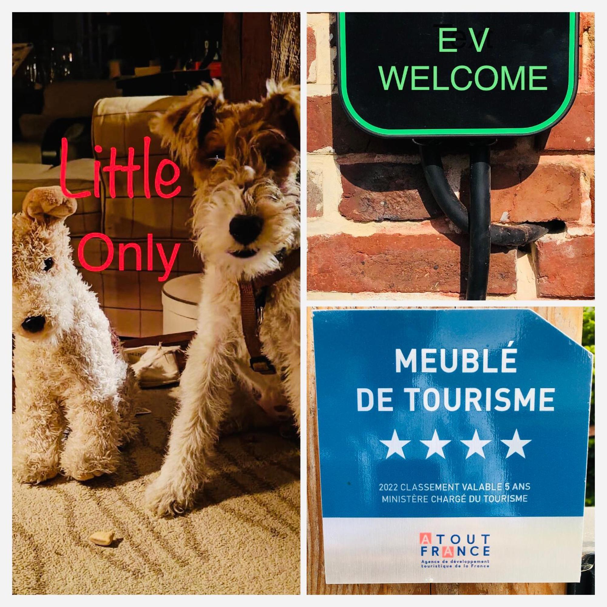 Rouge Cottage Gite 4 Etoiles Billard Gueutteville-les-Gres 外观 照片